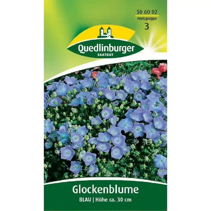Glockenblume, Blau Must-Have